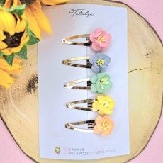 Rainbow barrette set