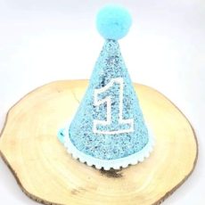 Blue birthday hat