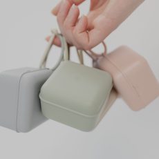 Pacifier Cases