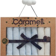 Handkerchiefs 7 Pieces Blue Boy